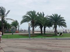 -野狸岛