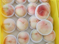 -老袁家蜜桃农场·阳山水蜜桃