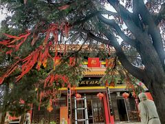 -孤山景区-孤山寺