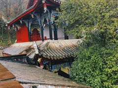 -青城山