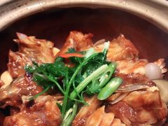 -上海宝华喜来登酒店·采悦轩中餐厅