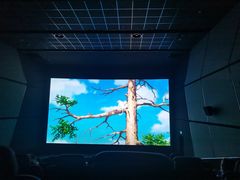 -奥斯卡升龙国际影城(RealD Cinema)