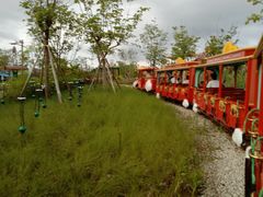 -江门古劳水乡旅游区