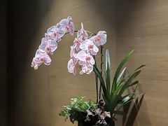 -成都钓鱼台精品酒店-品聚·成都餐厅