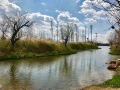 -呈贡滇池生态湿地公园