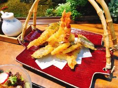 -森味薪火烧•烧鸟居酒屋•日本料理(望京店)