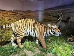 -北京麋鹿生态实验中心