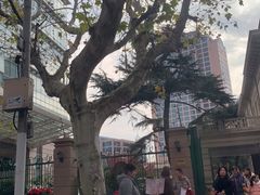 -中国福利会少年宫