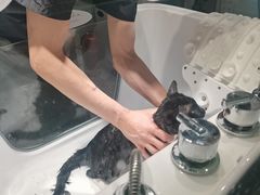-FAELING PETS美天灵宠物(合生汇店)