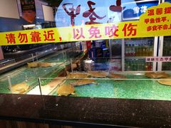 -洪湘记川湘·甲鱼馆(四海凯悦美食广场店)