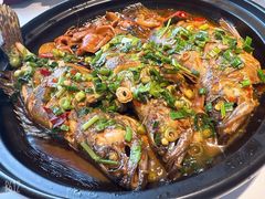 家烧肥肠小鳜鱼-马头巷·食景园(苏州总店)