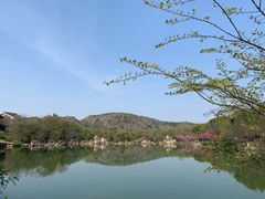 -白马涧龙池景区