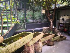 -龙猫意杯花园餐厅(芙蓉湖店)