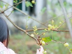 -广州市石门国家森林公园