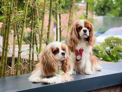 -金谷仓家庭料理(马泉营店)