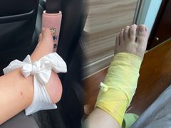 -广州白江湖森林公园