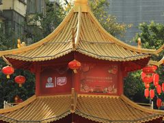 -越秀西湖花市(广州城市广场花卉店)