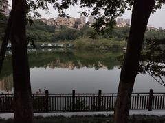 -重庆彩云湖湿地公园