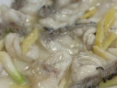 清蒸龙趸鱼片-巫记鸡饭店
