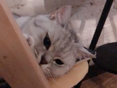 -不舍昼夜咖啡馆