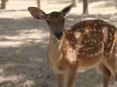 -荆州中山公园动物园