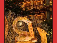 -越秀西湖花市(广州城市广场花卉店)