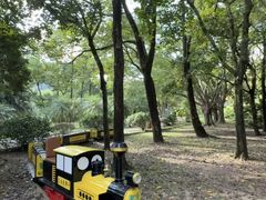 -东南花都花博园