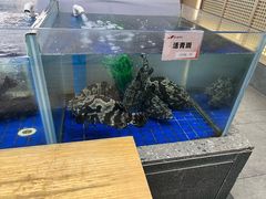 -船歌·鱼水饺青岛菜(闽江二路店)