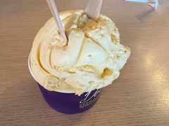 -Dooley's Premium Ice Cream