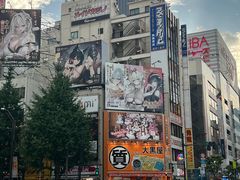 -秋叶原电器街