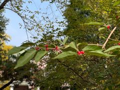 -北京动物园-畅观楼