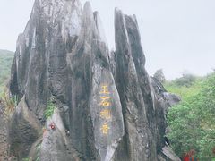 -玉石林风景区