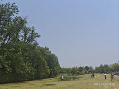 -亭林园-华藏寺