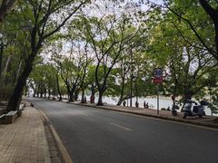 -南国桃园旅游度假区