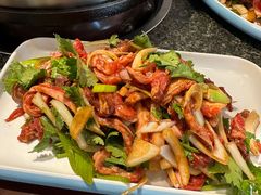 -佟爷·老北京炙子烤肉(动物园店)