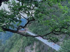 -塔云山