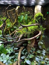 -酷嗒动物文化乐园(cutezoo西溪乐天城店)