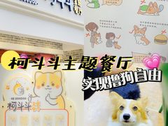 -柯斗斗主题餐厅·狗咖·围炉煮茶·茶饮(国瑞升平里店)