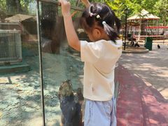 -北戴河集发农业梦想王国