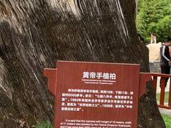-黄帝陵