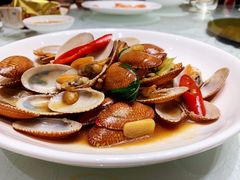 九层塔贝-光头匠