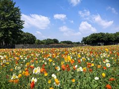 -江苏三台山国家森林公园