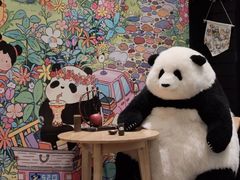 -轩客会(熊猫书店)