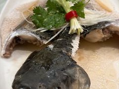 -千灯盛汇·头牌粤菜(致越优城店)