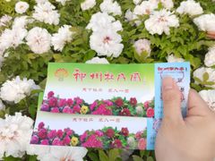 -神州牡丹园