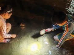 -日照海滨国家森林公园