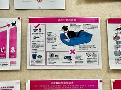 -美联众合爱康动物医院•复杂内科•肿瘤科•牙科•腔镜诊疗中心