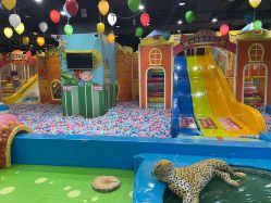 -万达宝贝王(长春红旗街店)