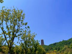 -牛首山文化旅游区