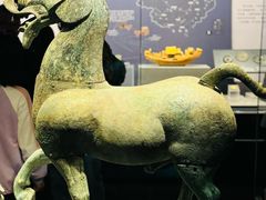 -广西壮族自治区博物馆